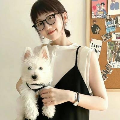 傲骨贤妻第五季