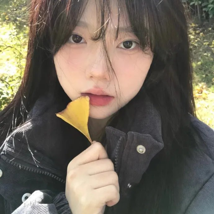 真爱不忘国语